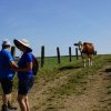 06 d Bürgermeister-Tour Paukenweg